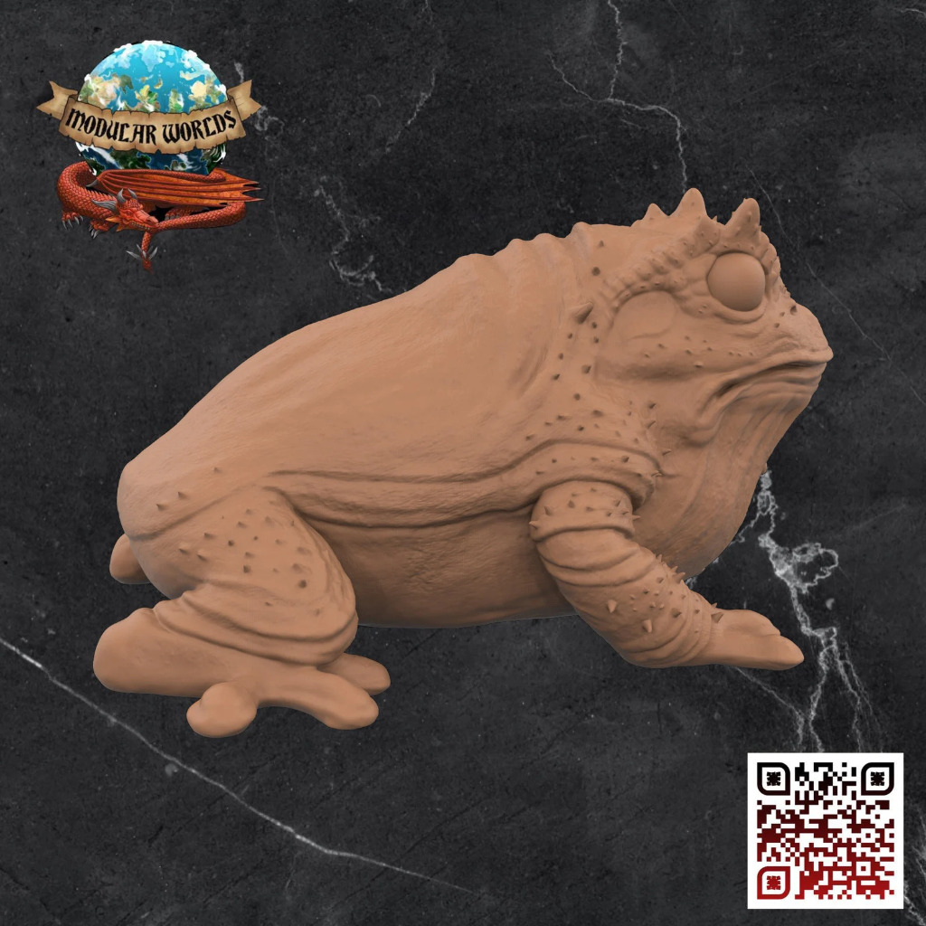 Hogeth Swamp Toad 3