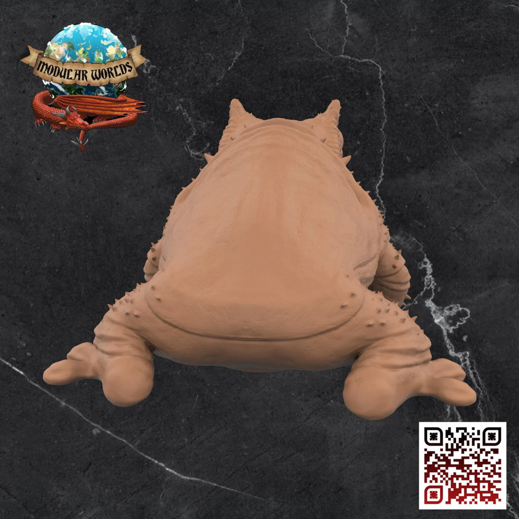 Hogeth Swamp Toad 4