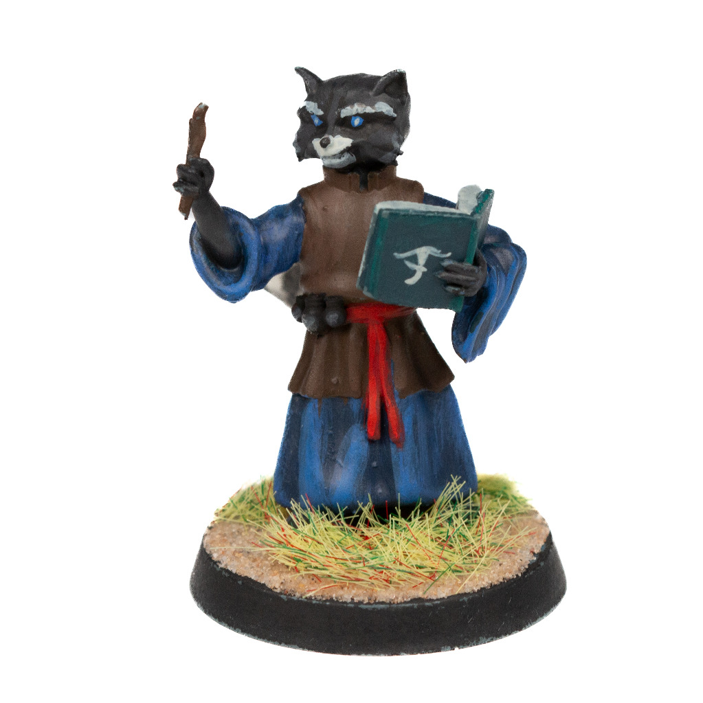 Raccoonfolk Wizard 2