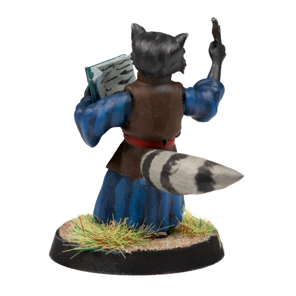 Raccoonfolk Wizard 3