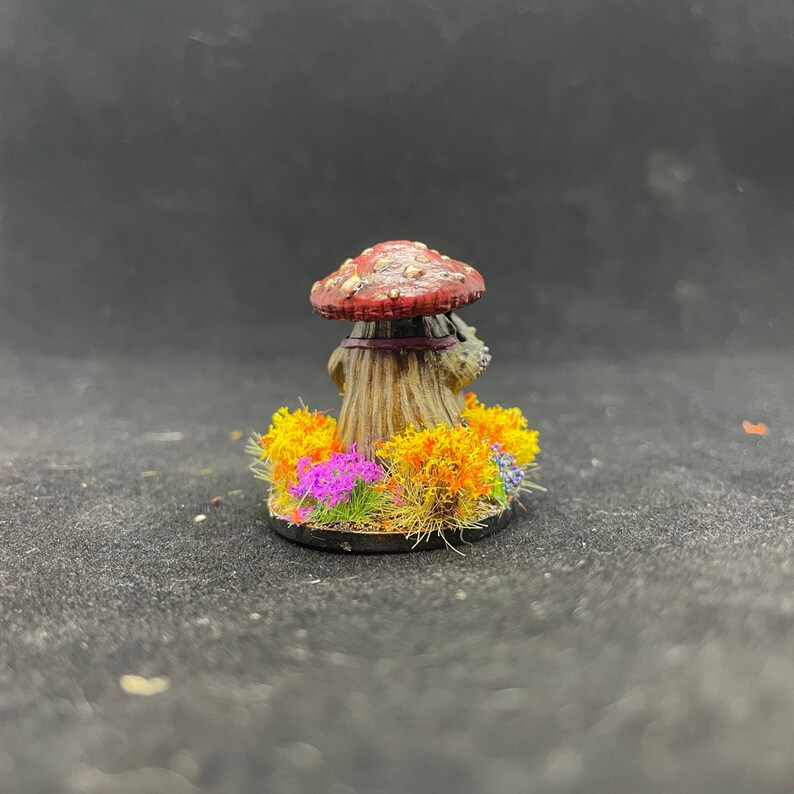 Myconid Cook 7