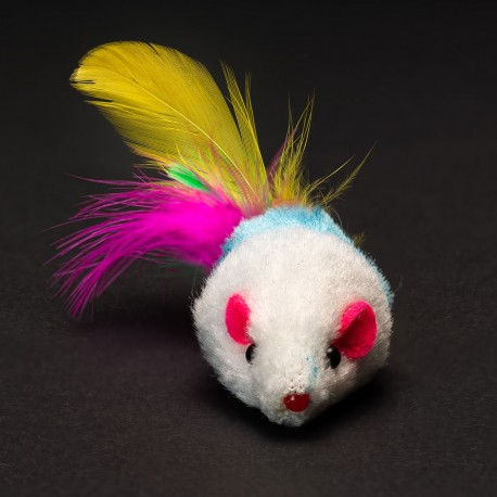 Dice Set: Purrito 8
