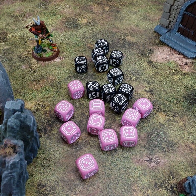 Fortress Compact D6: Black & Pink 4