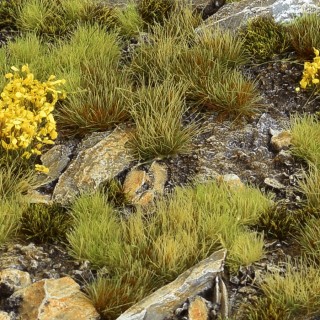 Tuft Set - Highland 1