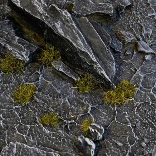Dark Moss - Tiny Tufts 2mm 1