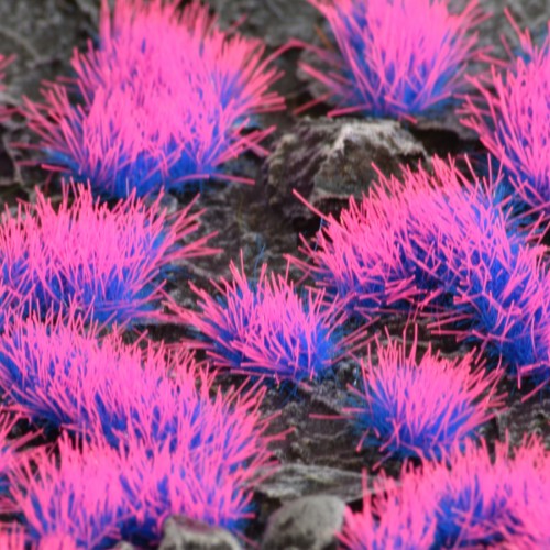 Alien Neon - Tufts 4mm 1