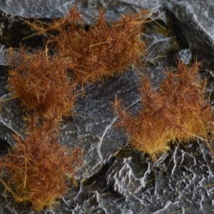 Spikey Brown - Wild Tufts 12mm 1