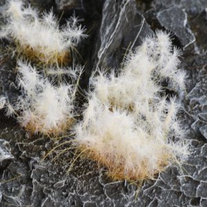 Spikey Winter - Wild Tufts 12mm 1