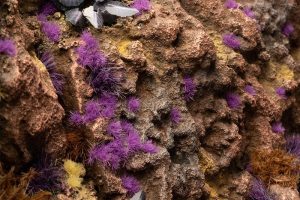 Alien Purple - Tiny Tufts 2mm 1