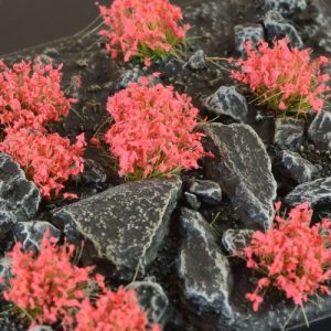 Red Flower Tufts 1