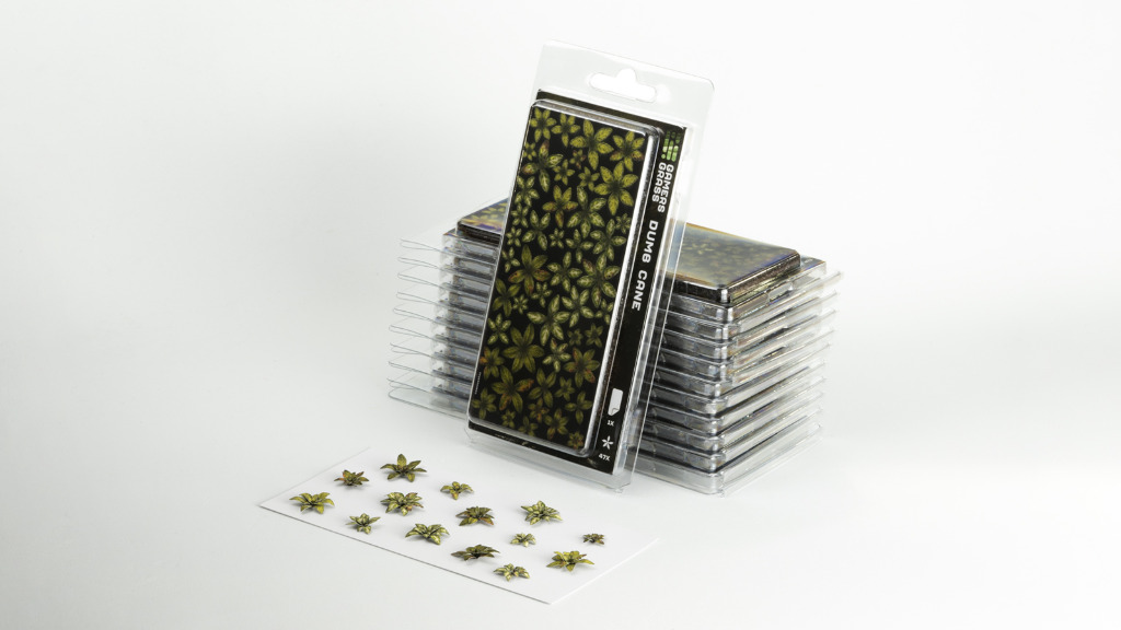 Laser Plants - Dumb Cane 4