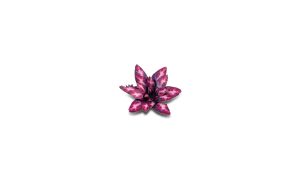 Laser Plants - Alien Rosette 1