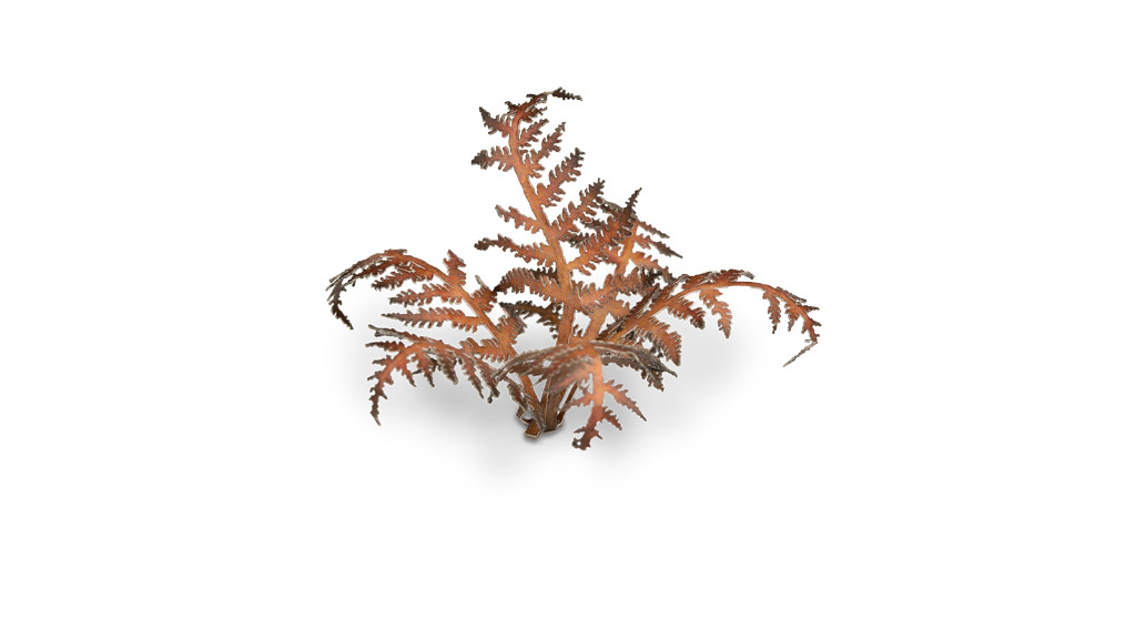 Laser Plants - Dry Bracken 3