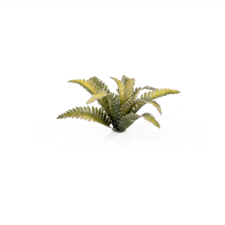 Laser Plants - Deer Fern 2