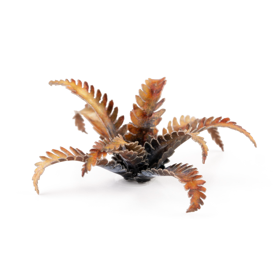 Laser Plants - Alien Fern 2
