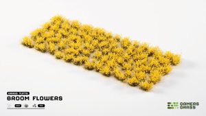 Broom Flowers 1