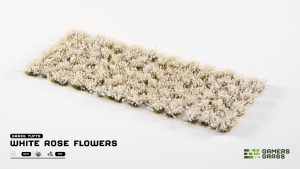 White Rose Flowers 1