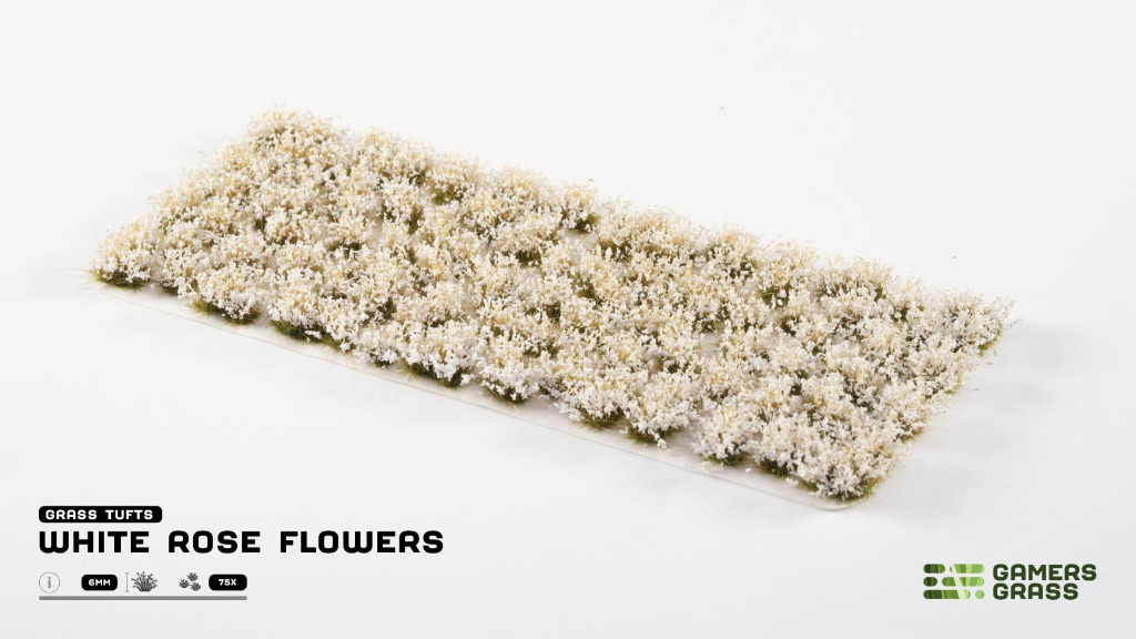 White Rose Flowers 1