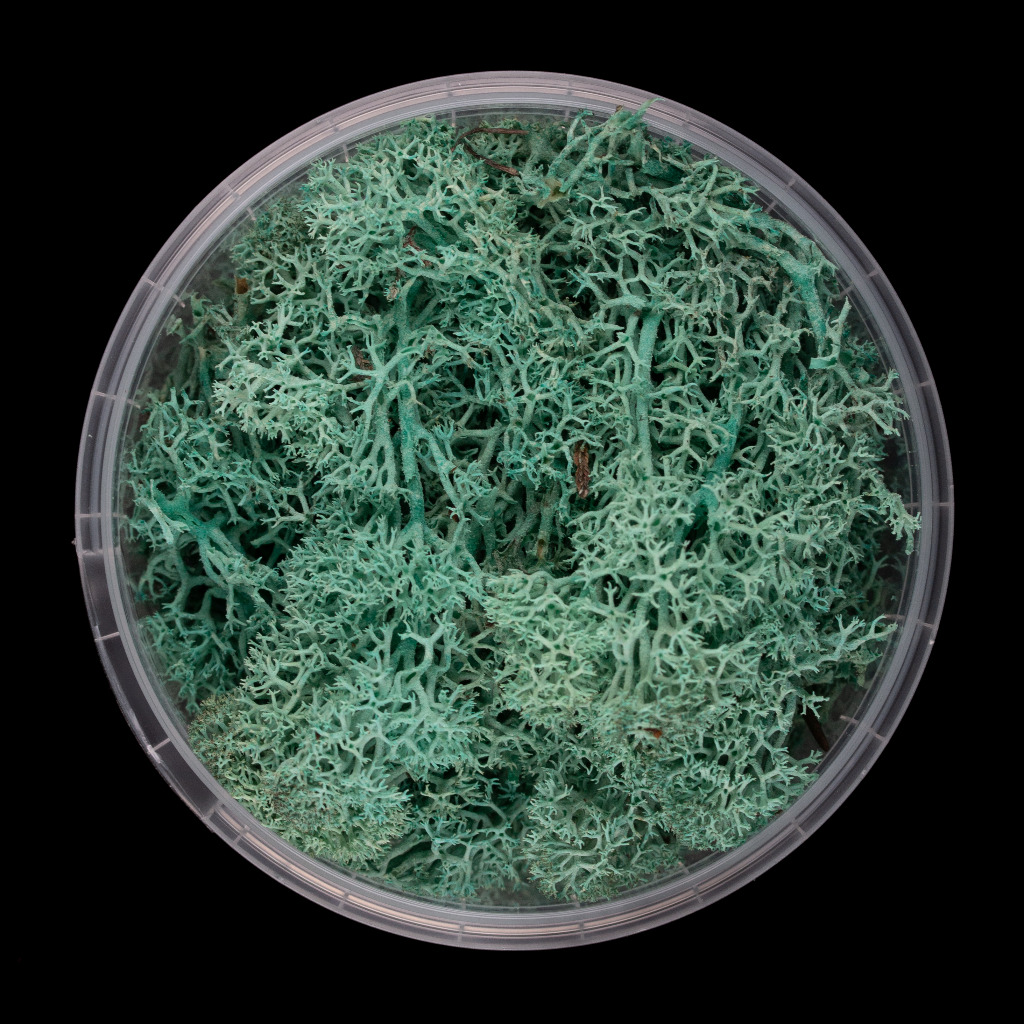 Alien Hedge Basing Material 1