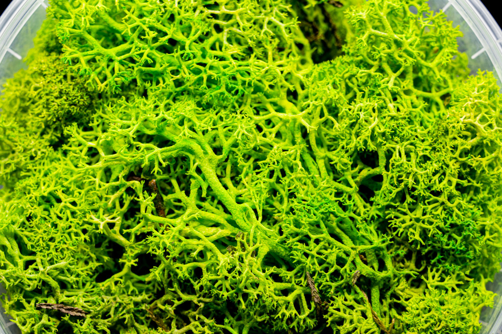 Lush Hedge Basing Material 3
