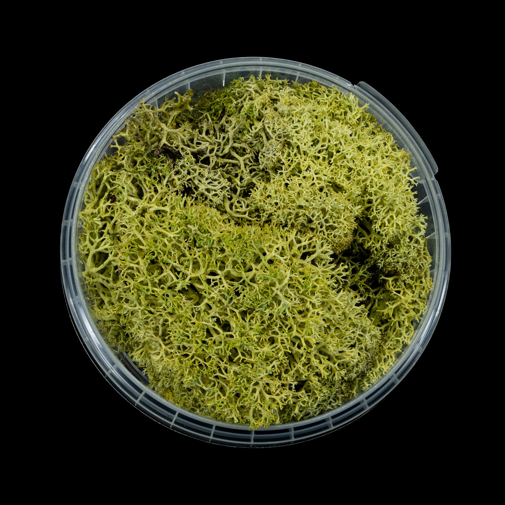 Putrid Hedge Basing Material 1