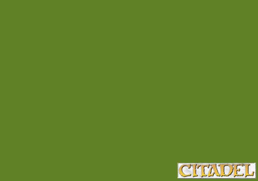 Warhammer Colour - Layer: Straken Green 12ml 2