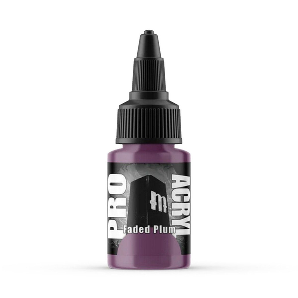Pro Acryl - Faded Plum 22ml 1