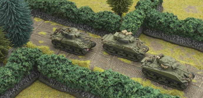 Flames of War: Bocage (Straights) 2