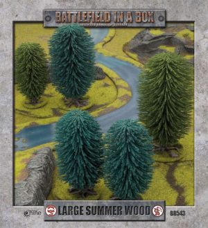 Large Summer Wood 1