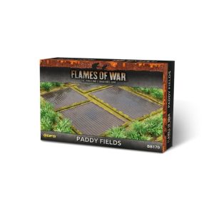 Features: Paddy Fields (x4) 1