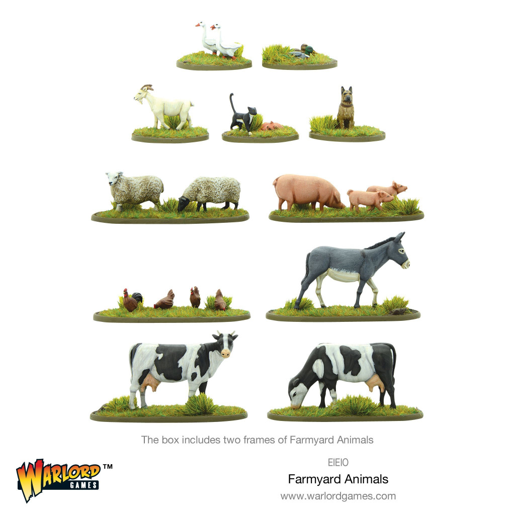 Farmyard Animals 3