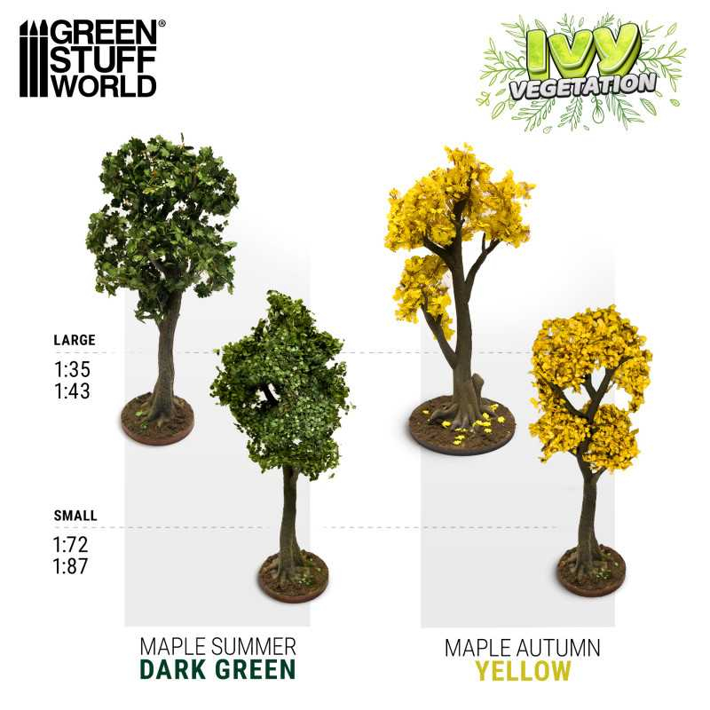 Ivy Foliage - Yellow Maple - Small 3