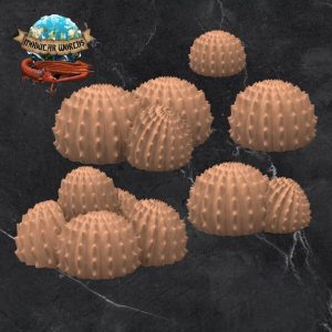 Ball Cacti (10) 1