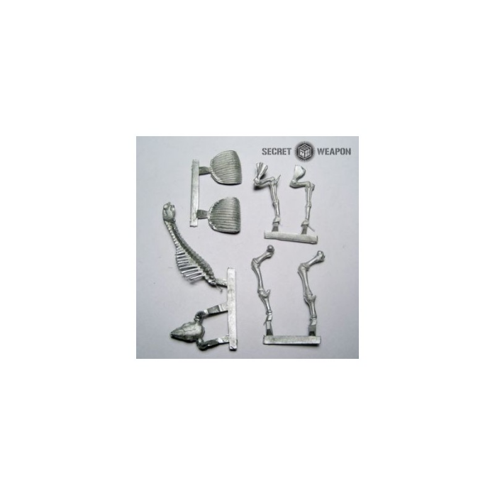 Buffalo Skeleton 1