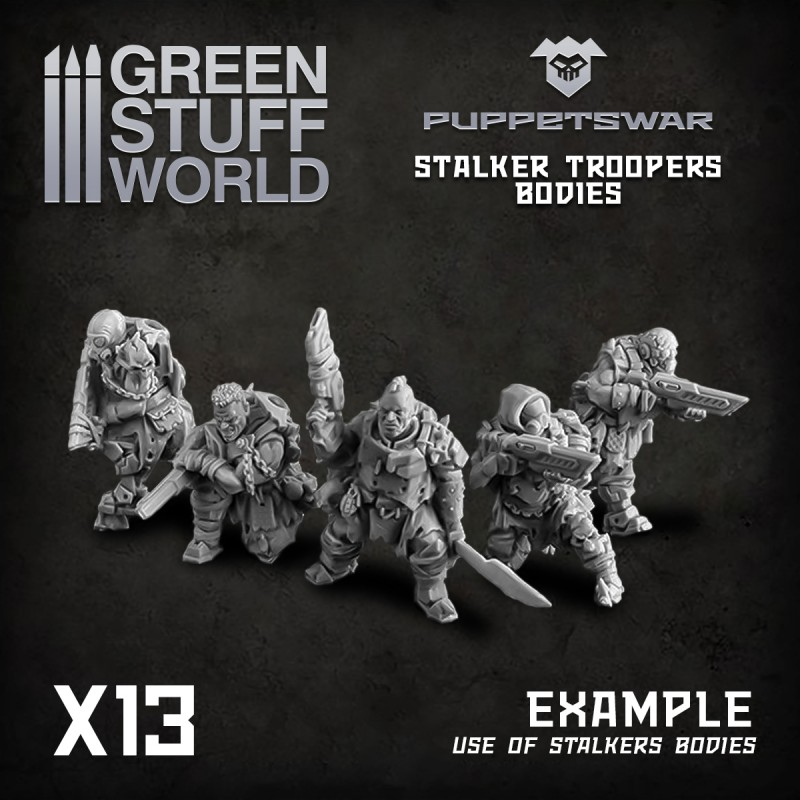 Stalker Troopers Bodies 2