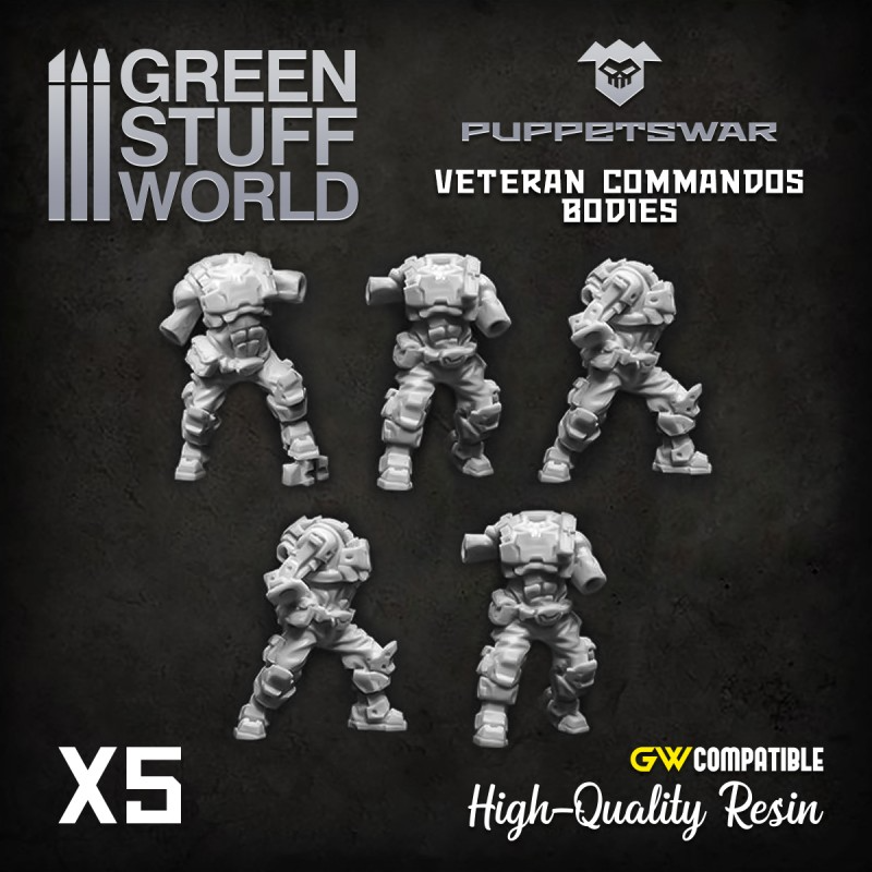 Veteran Commandods Bodies 1
