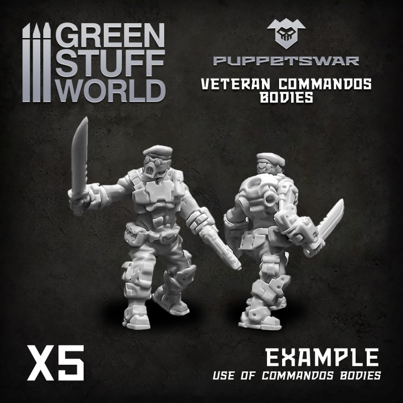 Veteran Commandods Bodies 2