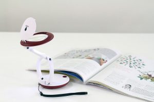 Yoyo Magnifier 1