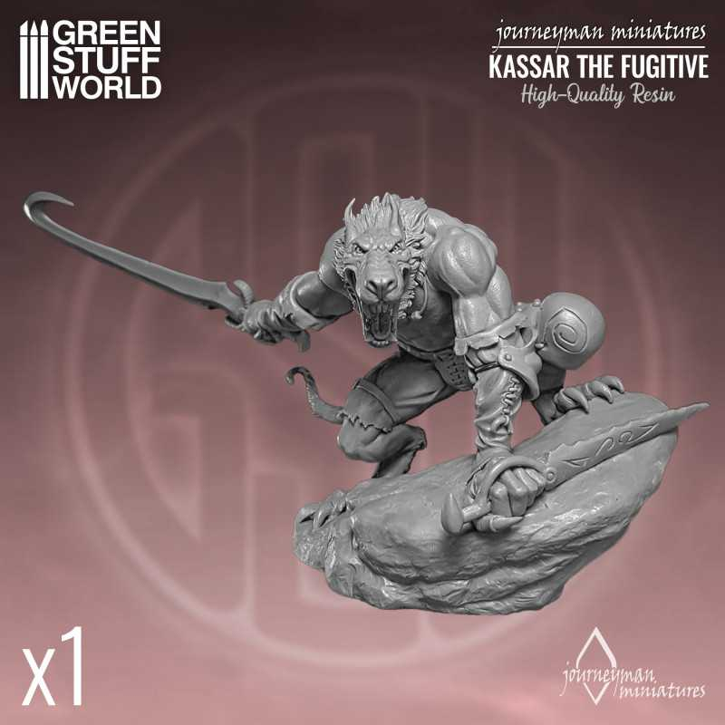Journeyman Miniatures - Kassar the Fugitive 2