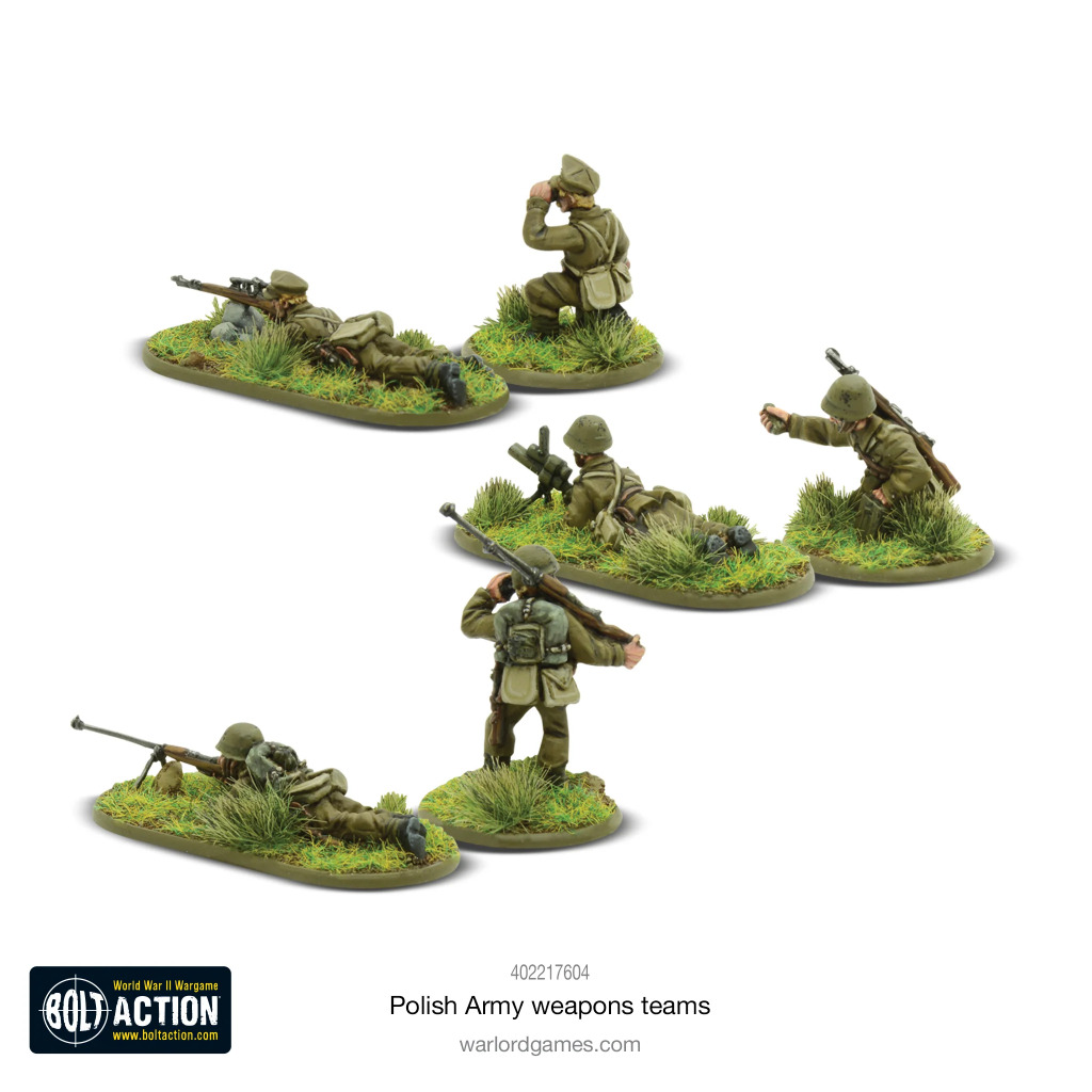 Polish Army Weapons Teams 2