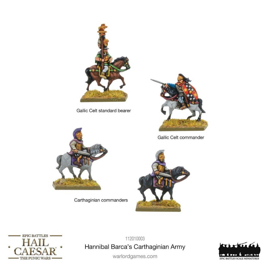 Epic Hail Caesar - Hannibal Barca's Carthaginian Army 11
