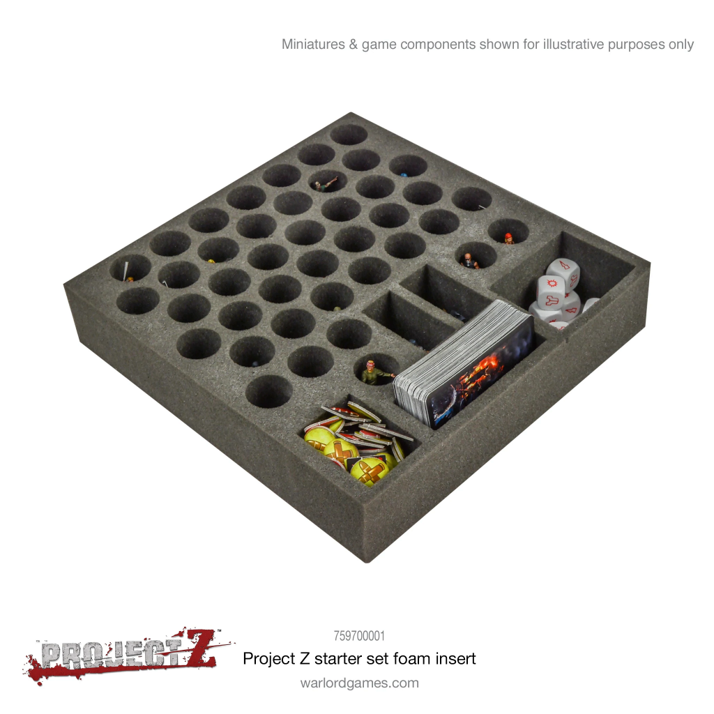 Project Z: Starter Game 4