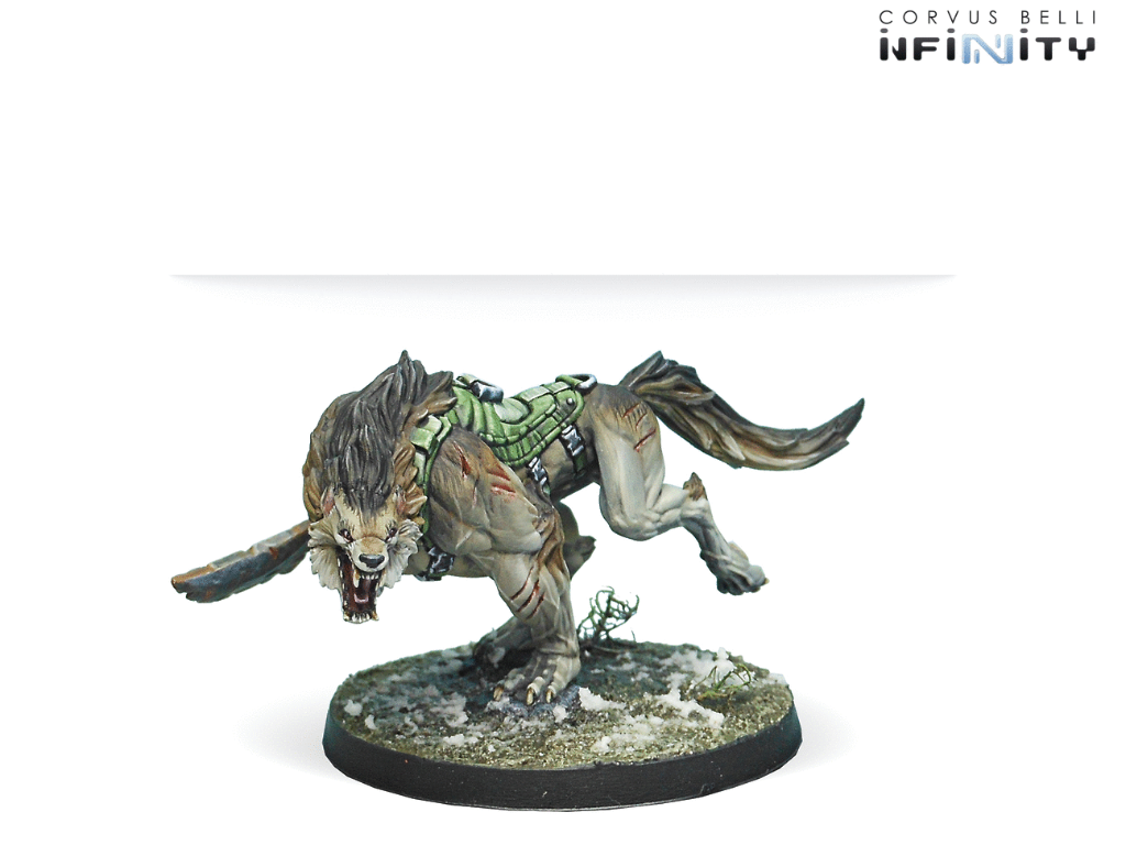 Antipode Assault Pack 2