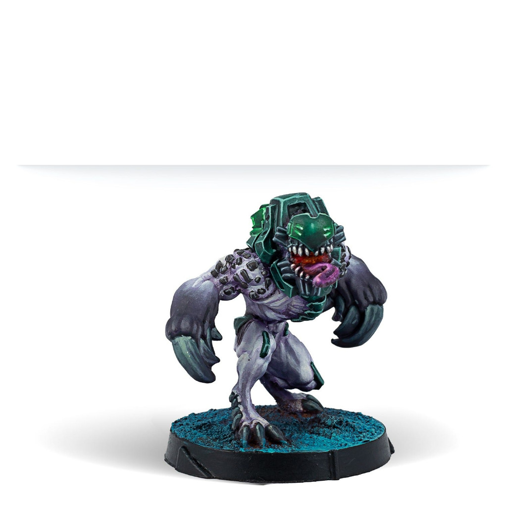 Jayth Cutthroats, Shasvastii Independent Assault Group 3