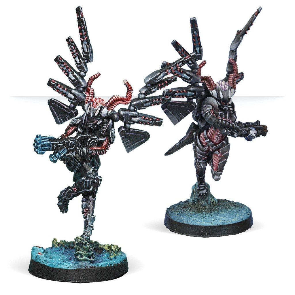 Combined Army Fraacta Drop Unit 2