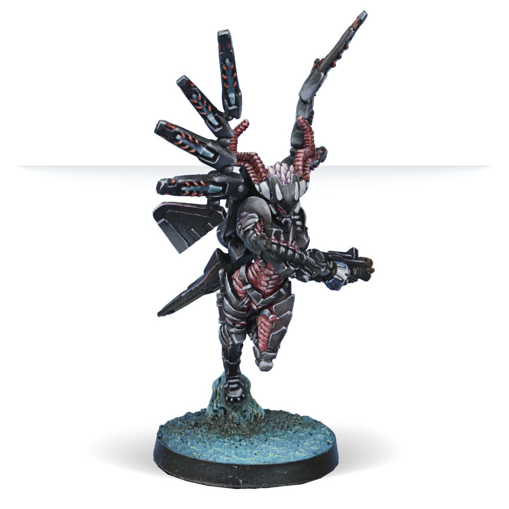 Combined Army Fraacta Drop Unit 4