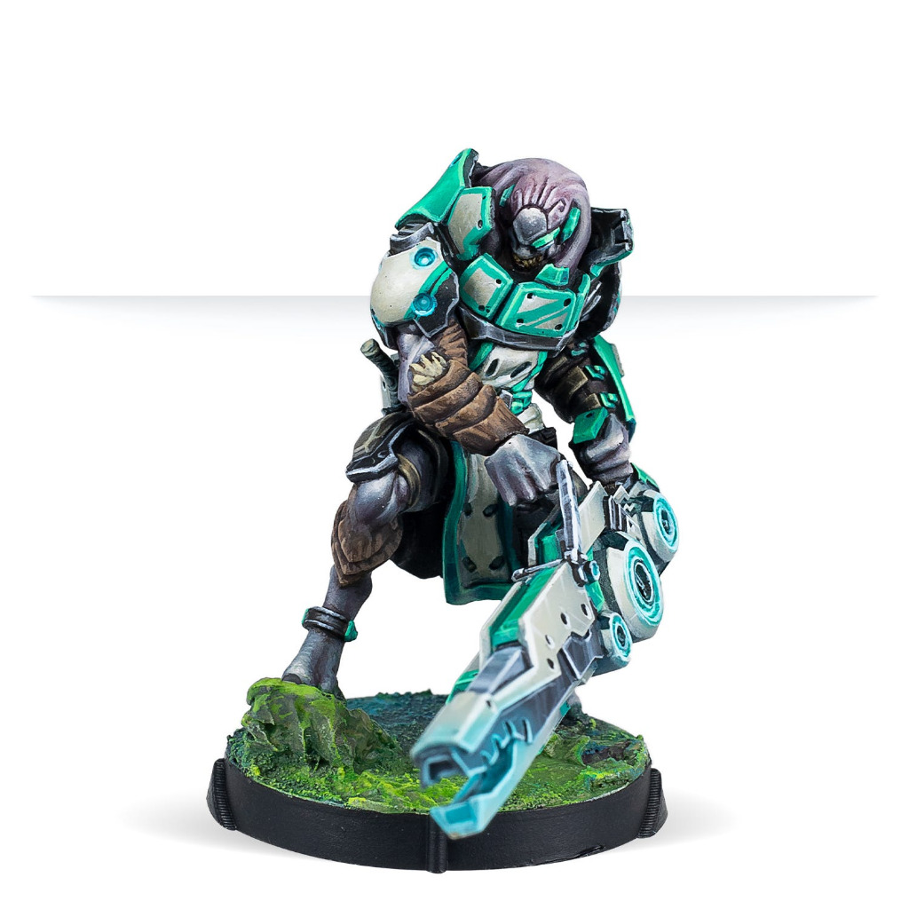 NA2 Chaksa Longarms 2