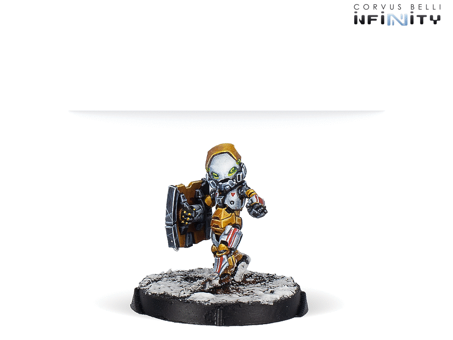 Jujak Regiment, Korean Shock Infantry 6