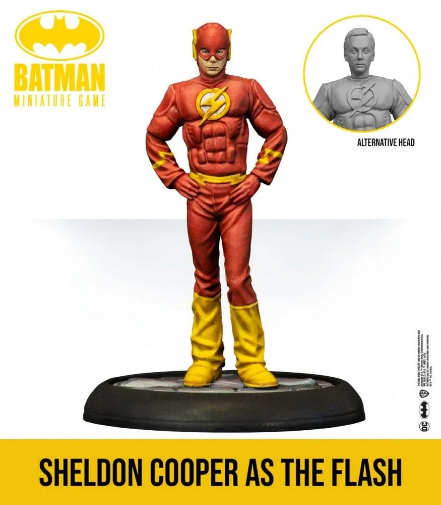 The Big Bang Theory Justice League Cosplay 5
