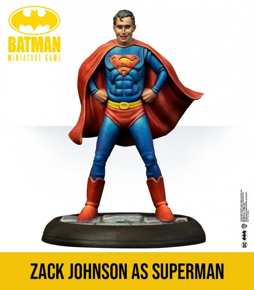 The Big Bang Theory Justice League Cosplay 6